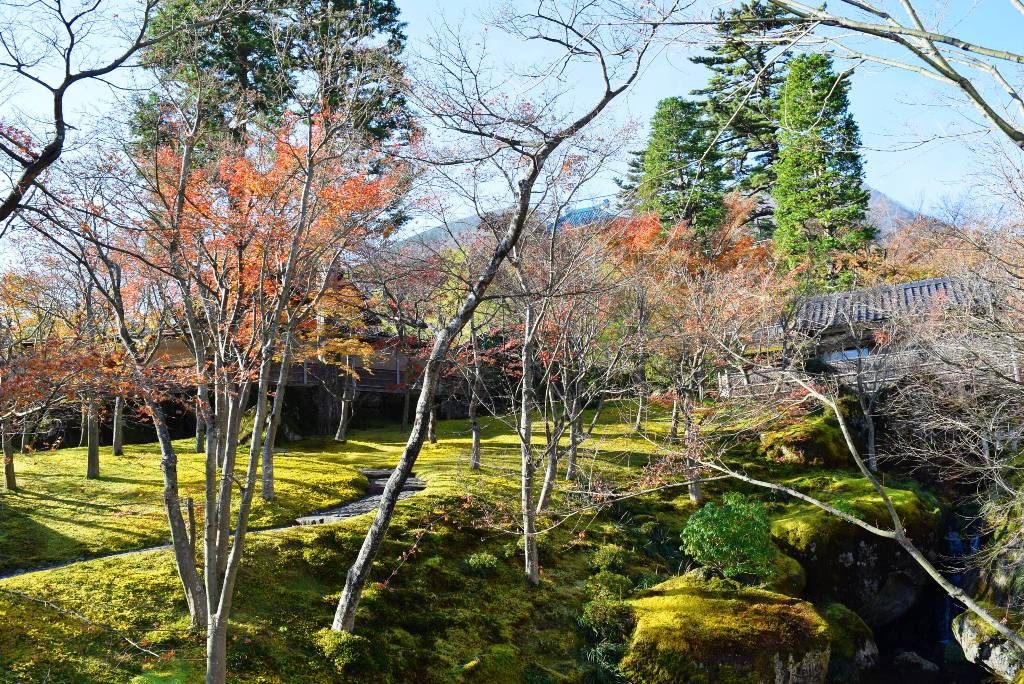 この画像には alt 属性が指定されておらず、ファイル名は DSC_0394min-1024x684.jpg です