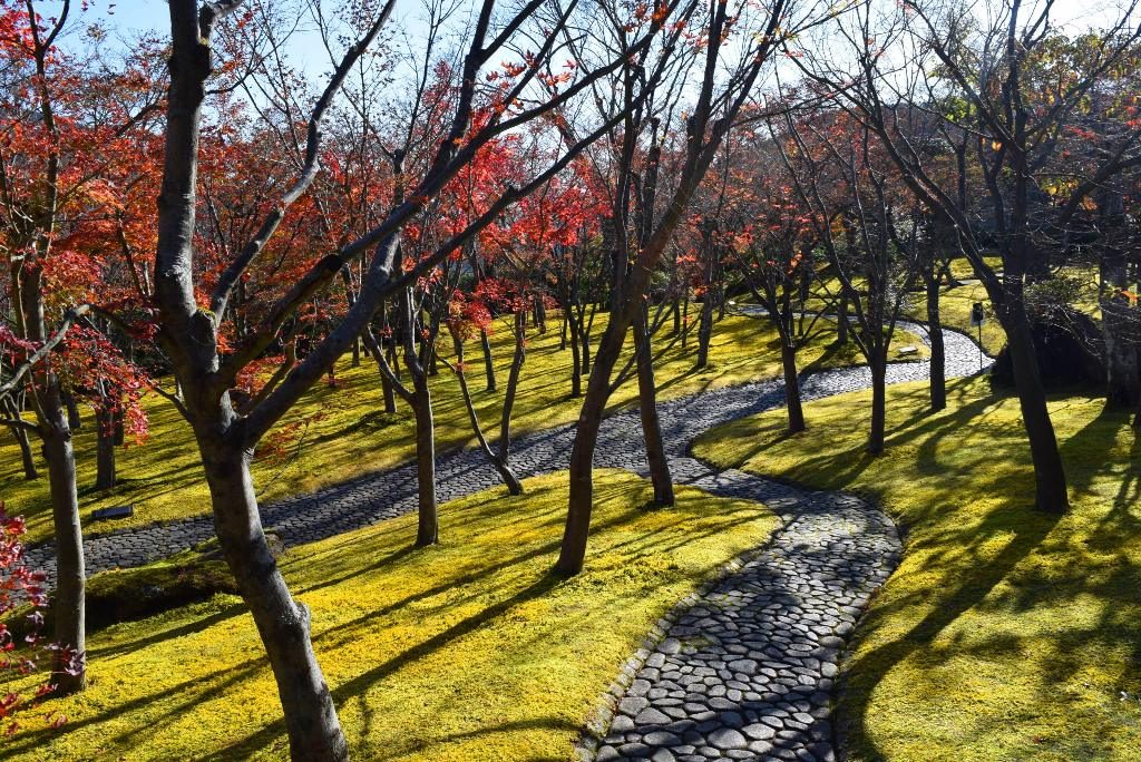 この画像には alt 属性が指定されておらず、ファイル名は DSC_0398min-1024x684.jpg です