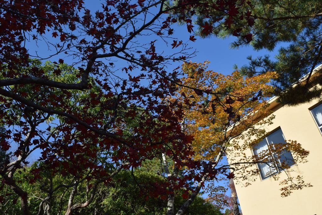 この画像には alt 属性が指定されておらず、ファイル名は DSC_0413min-1024x684.jpg です