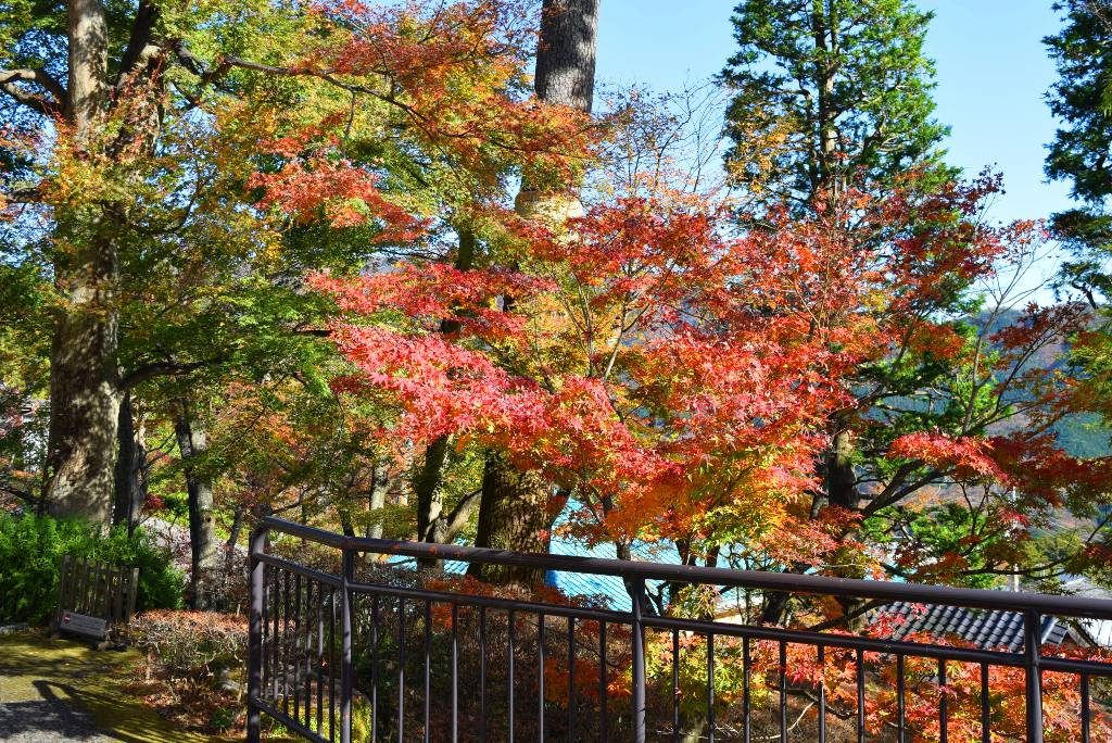 この画像には alt 属性が指定されておらず、ファイル名は DSC_0414min-1024x684.jpg です