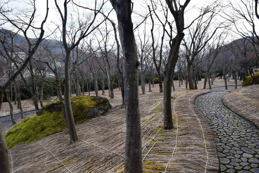 この画像には alt 属性が指定されておらず、ファイル名は DSC_0546min.jpg です