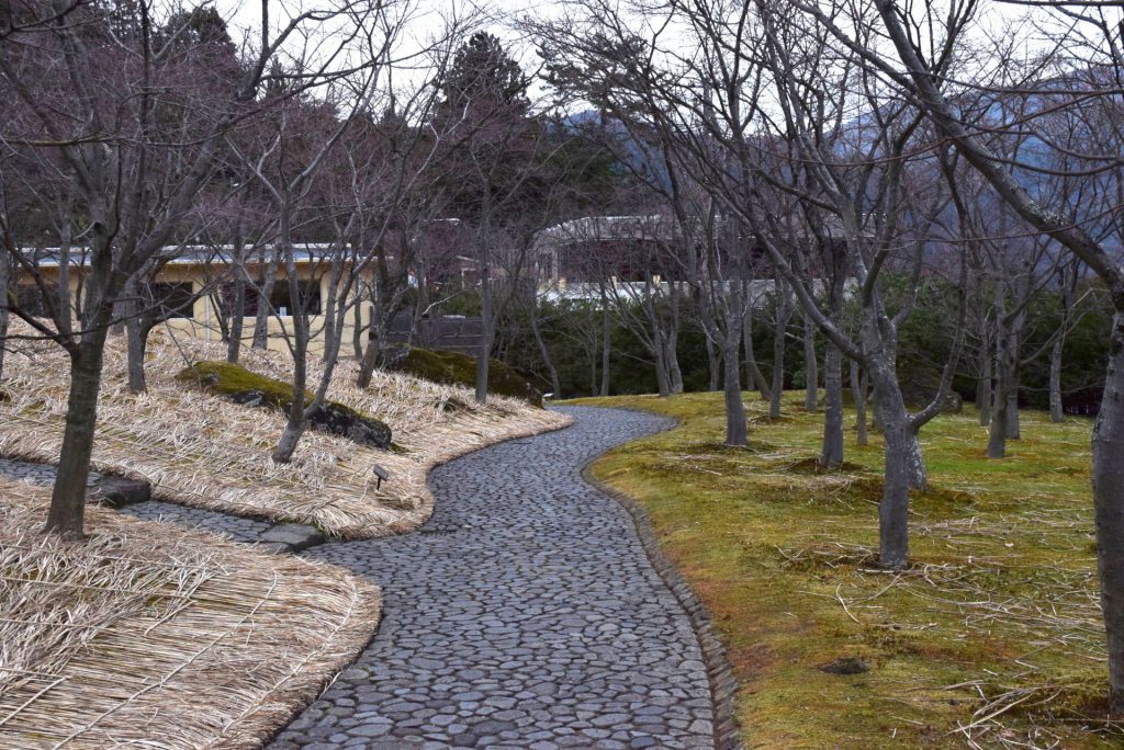 この画像には alt 属性が指定されておらず、ファイル名は DSC_0711-1024x684.jpg です