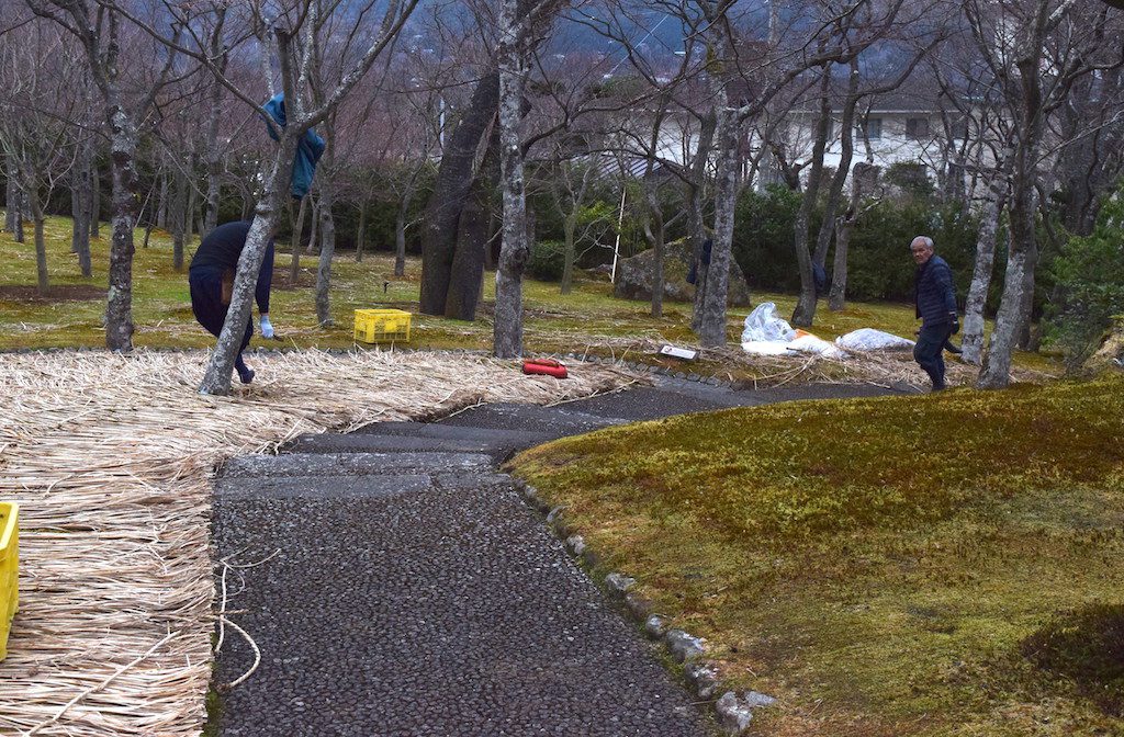 この画像には alt 属性が指定されておらず、ファイル名は DSC_0712min-1024x672.jpeg です