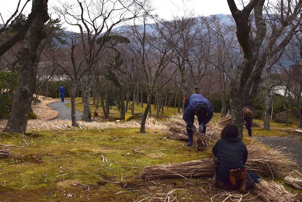 この画像には alt 属性が指定されておらず、ファイル名は DSC_0714min-1024x684.jpeg です