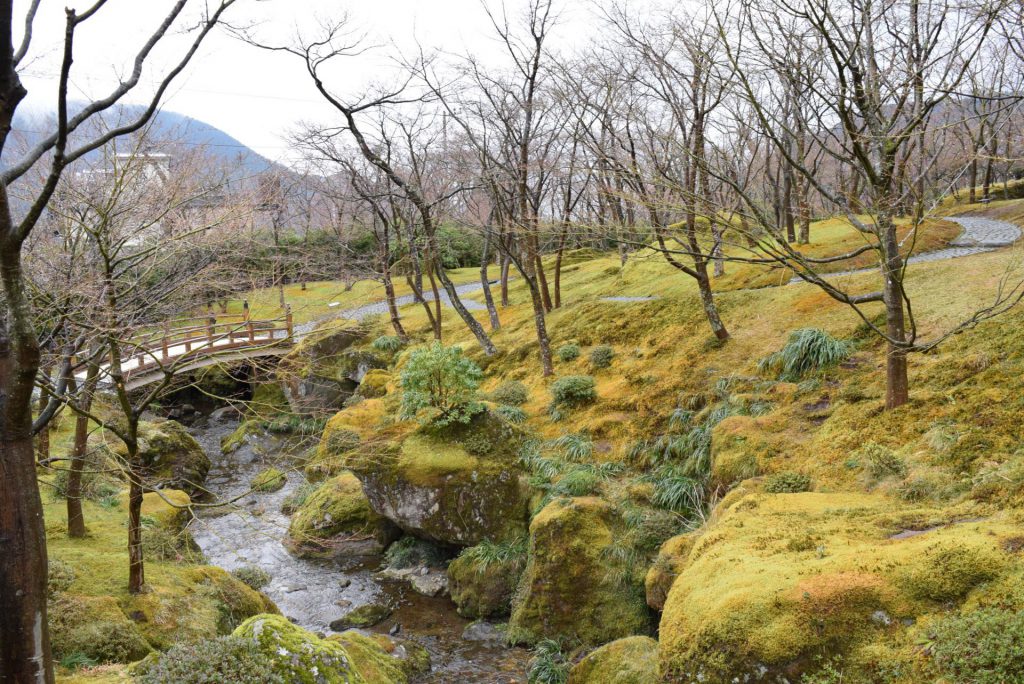 この画像には alt 属性が指定されておらず、ファイル名は DSC_0720-1024x684.jpg です