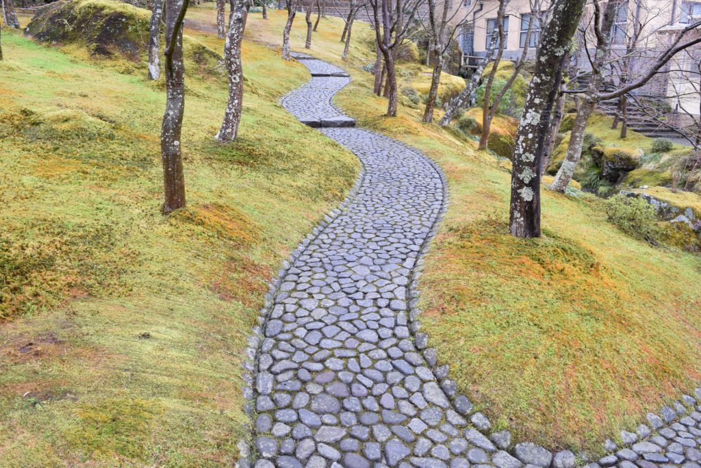 この画像には alt 属性が指定されておらず、ファイル名は DSC_0721-1024x684.jpg です