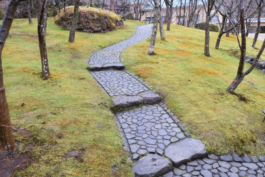 この画像には alt 属性が指定されておらず、ファイル名は DSC_0722-1024x684.jpg です