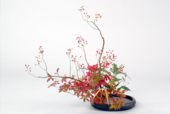 光輪花クラブ<