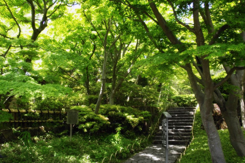 MOA美術館　夏