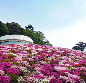 MOA美術館　春