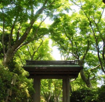 MOA美術館