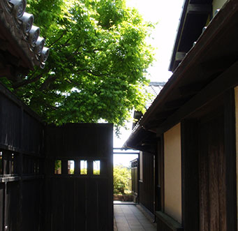 MOA美術館　夏