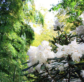 MOA美術館　夏