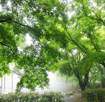 MOA美術館　夏