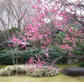 MOA美術館　冬