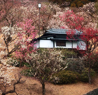 MOA美術館　冬