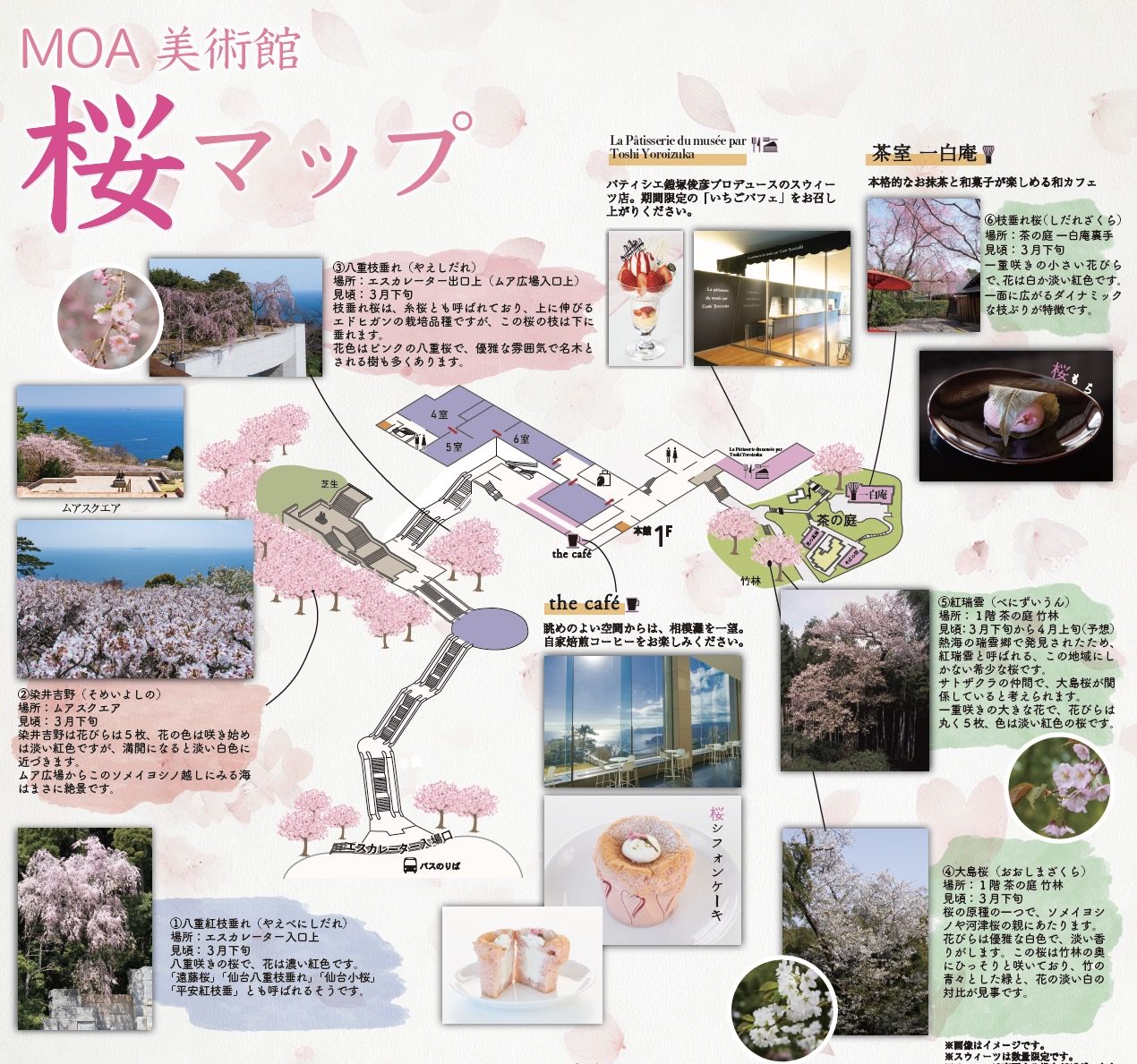 桜マップ