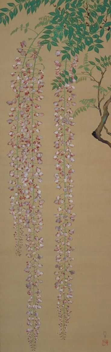 Wisteria, Lotus and Maple images