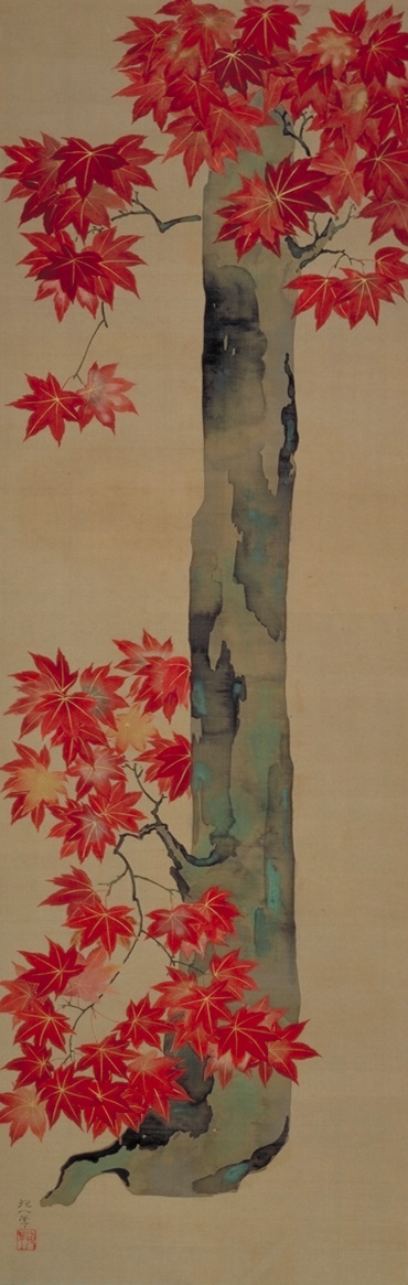 Wisteria, Lotus and Maple images