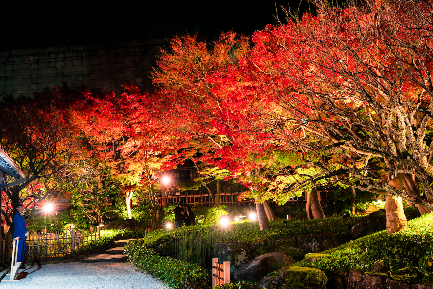 秋のイベント(タイムトリップ ☆KORIN！・紅葉ライトアップ)の画像